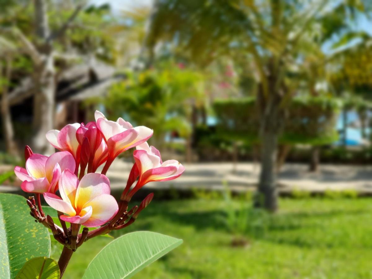 The Zanzibari Hotel Nungwi Exterior photo